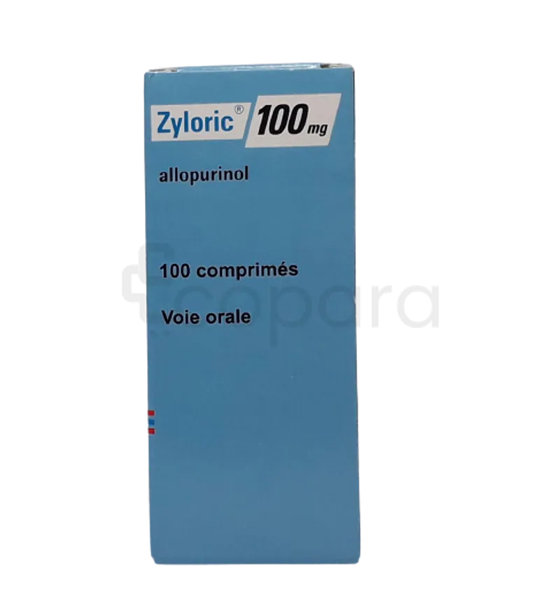 ZYLORIC 100MG BOITE DE 100 COMPRIMES