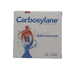 CARBOSYLANE 140MG/45MG BOITE DE 48 GELULES PM