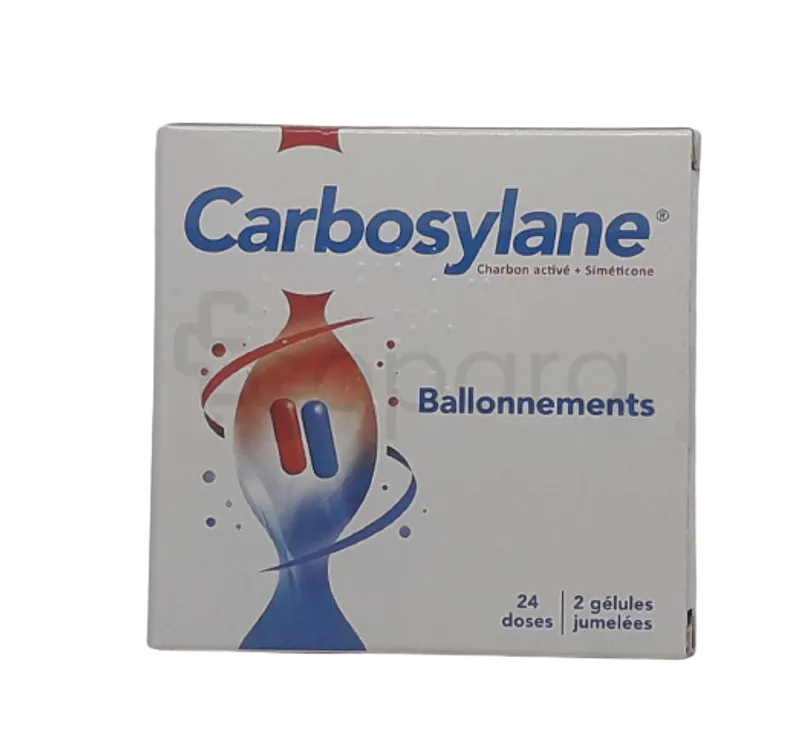 CARBOSYLANE 140MG/45MG BOITE DE 48 GELULES PM