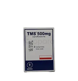 TMS 500MG BOITE DE 2 COMPRIMES