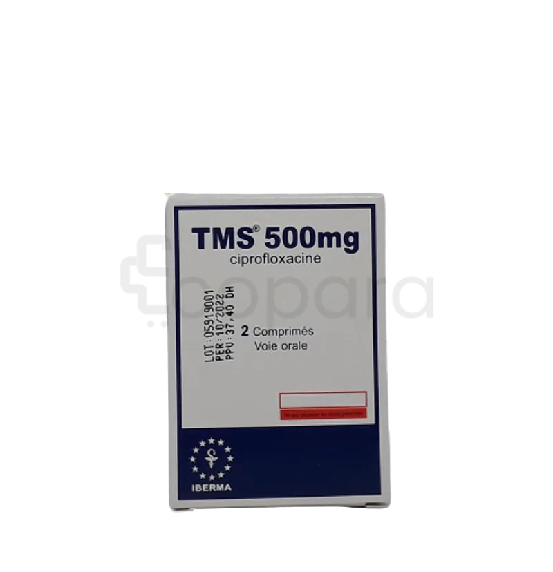 TMS 500MG BOITE DE 2 COMPRIMES
