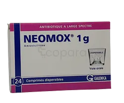 NEOMOX 1G BOITE DE 24 COMPRIMES DISPERSIBLES