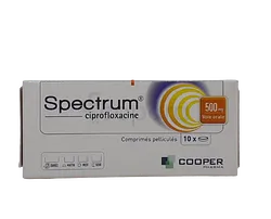 SPECTRUM 500MG BOITE DE 10 COMPRIMES