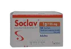 SOCLAV 1G BOITE DE 24 SACHETS