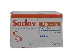 SOCLAV 1G BOITE DE 12 SACHETS ADULTES