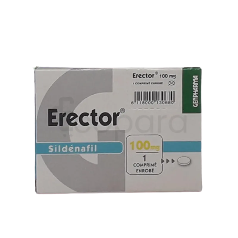 ERECTOR 100MG BOITE DE 1 COMPRIME