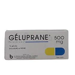 GELUPRANE 500MG BOITE DE 16 GELULES