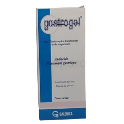 GASTROGEL 250ML SIROP