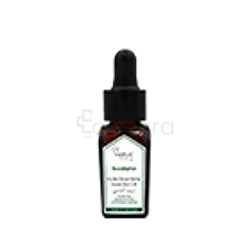 NATUS HUILE ESSENTIELLE D'EUCALYPTUS 10ML
