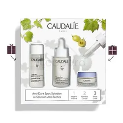 CAUDALIE COFFRET VINOPERFECT SERUM ECLAT ANTI-TACHE 30ML + CREME ECLAT ANTI-TACHE 50ML + ESSENCE GLYCOLIQUE CONCENTRE ECLAT 15ML
