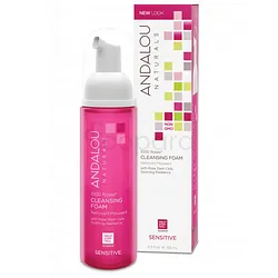 ANDALOU NATURALS CLEANSING FOAM 163ML