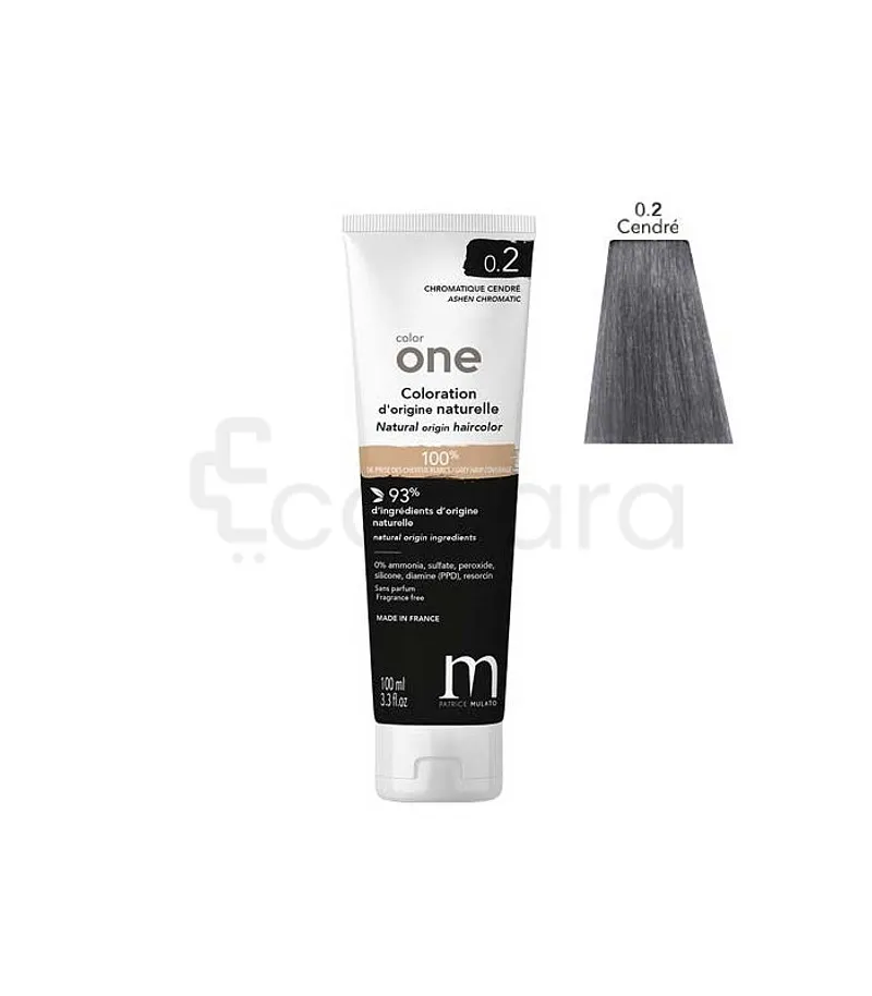 PATRICE MULATO COLOR ONE CHROMATIQUE NUMERO 0.2 CENDRE