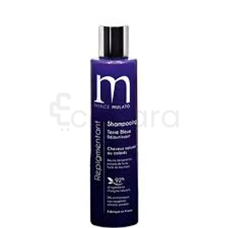 PATRICE MULATO SHAMPOOING TERRE BLUE 200ML