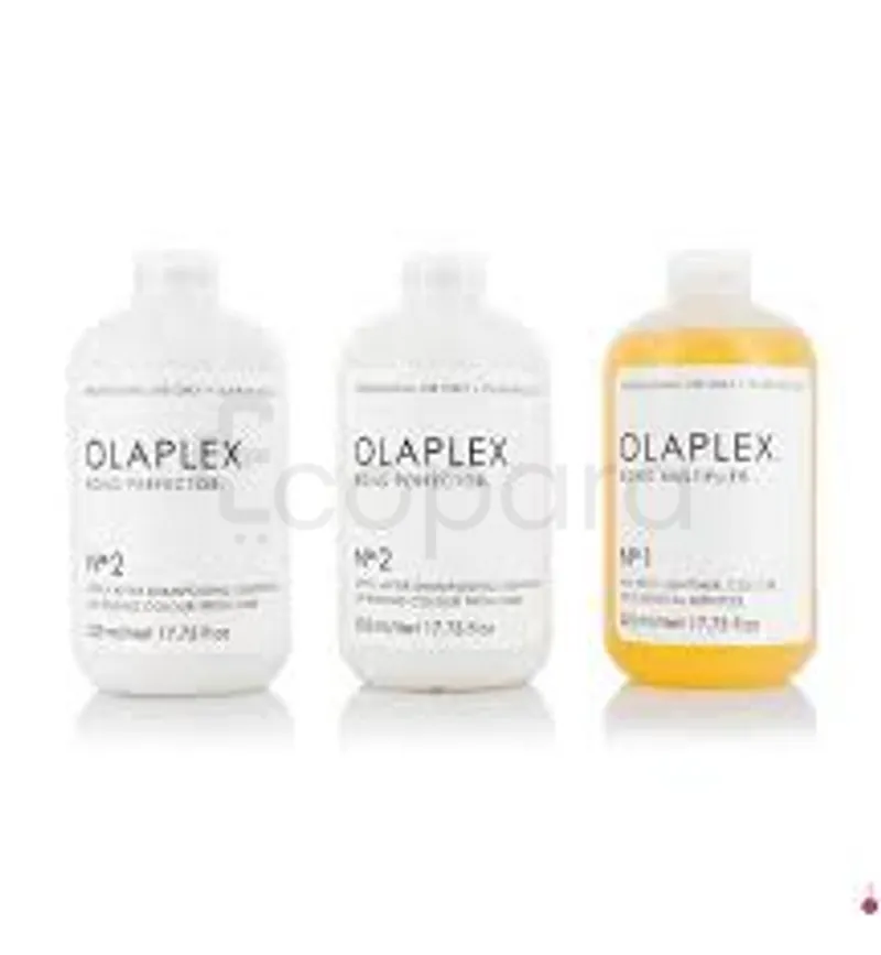 OLAPLEX SALON INTRO KIT BOND MULTIPLIER ET BOND PERFECTOR 500ML