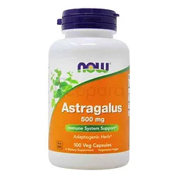 NOW ASTRAGALUS 500MG BOITE DE 100 CAPSULES
