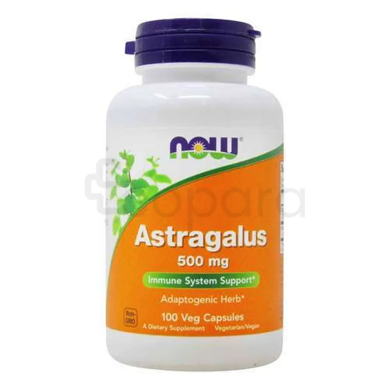 NOW ASTRAGALUS 500MG BOITE DE 100 CAPSULES