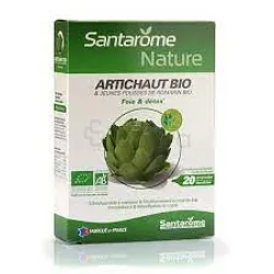 SANTAROME NATURE ARTICHAUT BIO BOITE DE 20