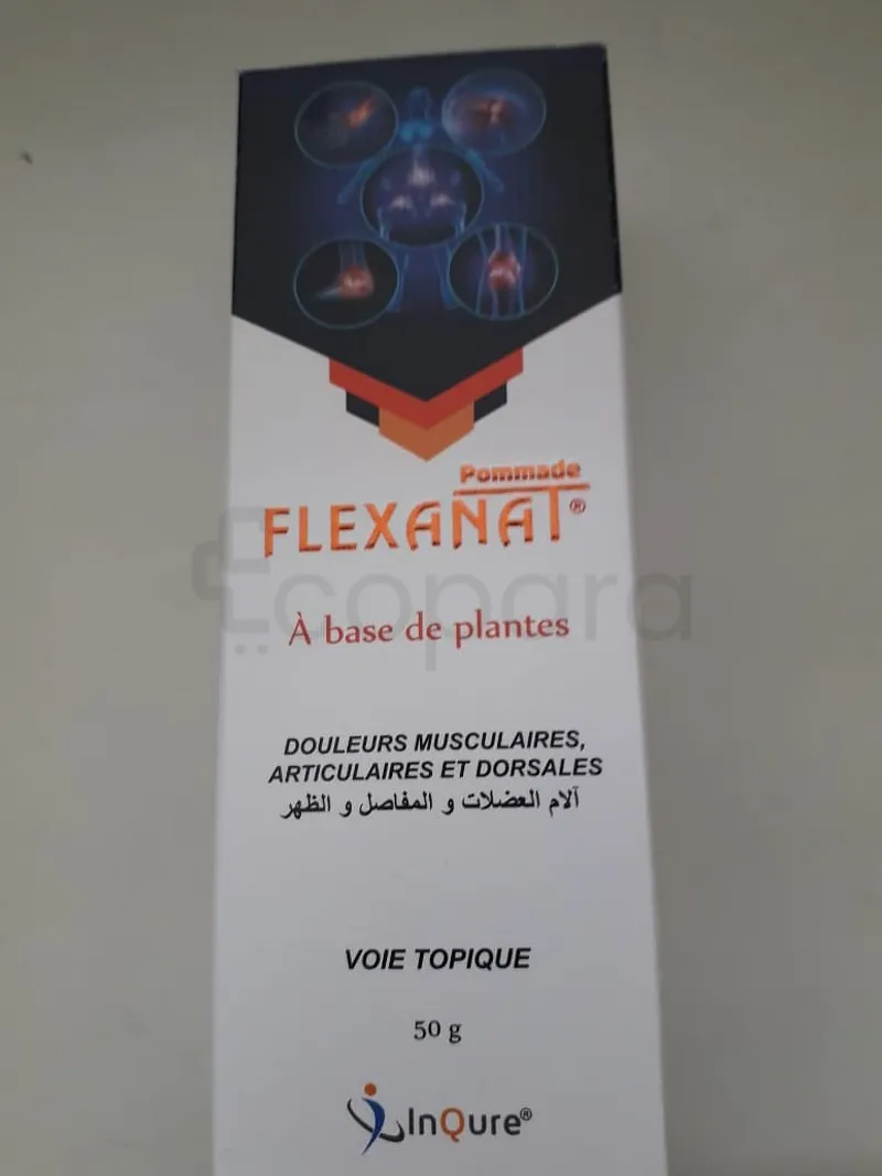 FLEXANAT POMMADE 50G