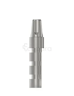 ANALOG MOIGNION UNIVERSEL 3.3*4MM REFERENCE 101038