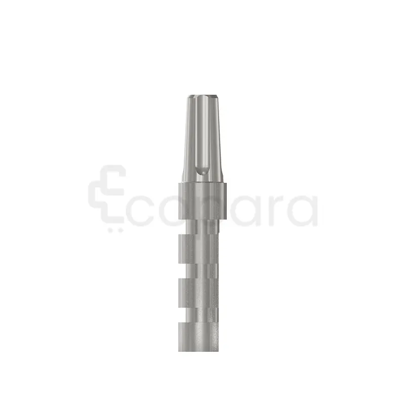 ANALOG MOIGNION UNIVERSEL 3.3*6MM REFERENCE 101039