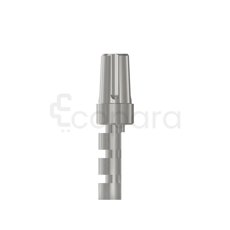ANALOG MOIGNION UNIVERSEL 4.5*6MM REFERENCE 101041