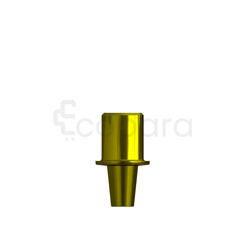 PARTIE SECONDAIRE CM POUR ESSAI EN BOUCHE TITANE 4.5X4X0.8MM REFERENCE 114205