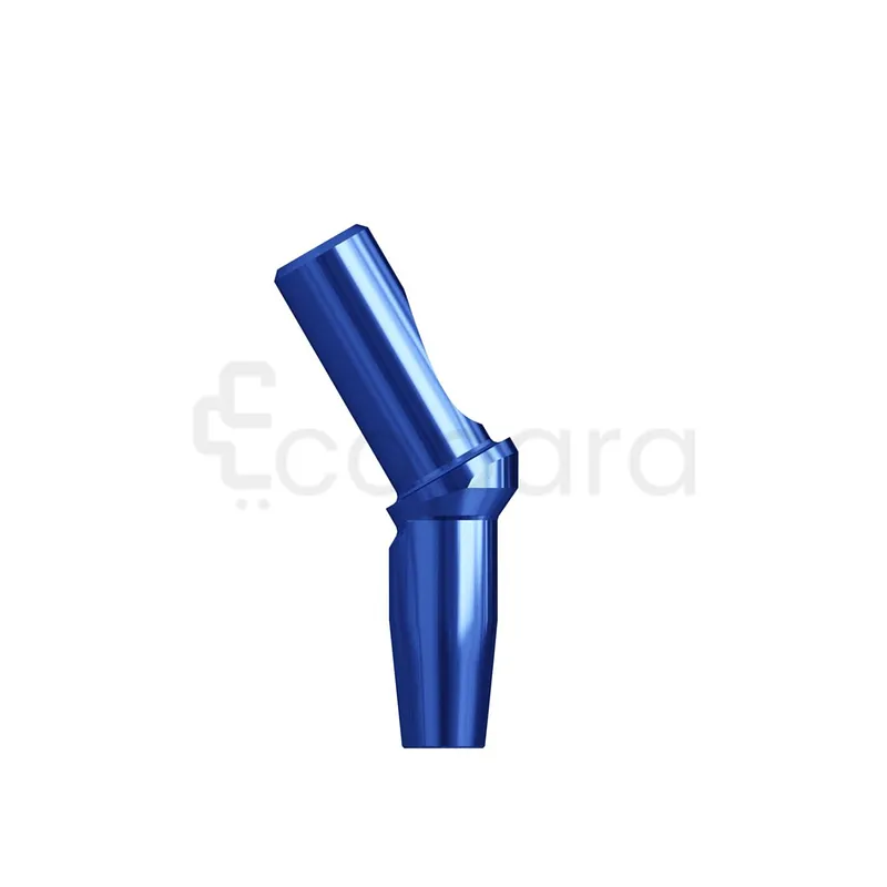 PARTIE SECONDAIRE CM POUR ESSAI EN BOUCHE 30 TITANE 3.3X6X2.5MM REFERENCE 114223