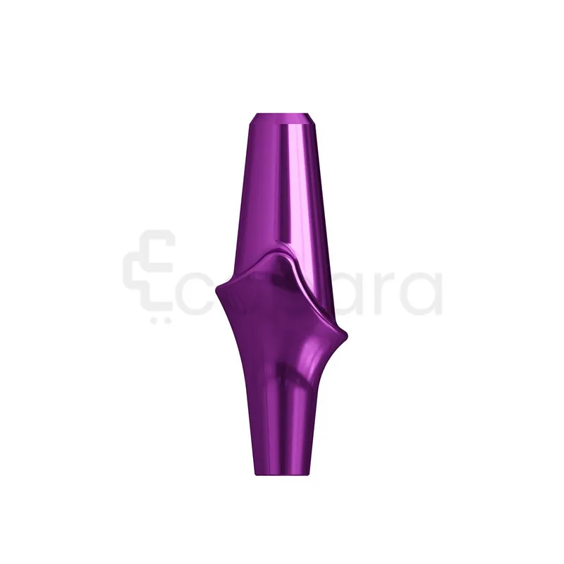 CM ANATOMIC ABUTMENT TRY-IN TITANIUM 2.5MM REFERENCE 114227