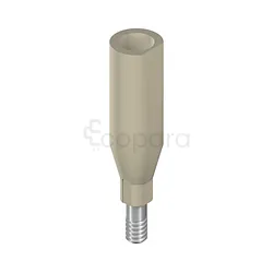 SC CARES CORPS DE SCANNAGE MONO D 3.5MM H 10MM PEEK TAN REFERENCE 025.0025