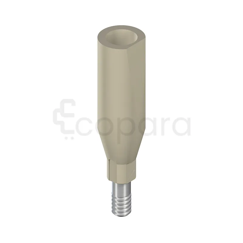 SC CARES CORPS DE SCANNAGE MONO D 3.5MM H 10MM PEEK TAN REFERENCE 025.0025