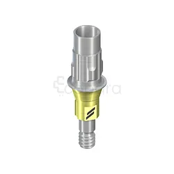 VARIOBASE NC UNITAIRE AVEC VIS D 3.8MM H 5.5MM HG 1MM TITANE PARTIES SECONDAIRES VISSÉES REF 022.0027