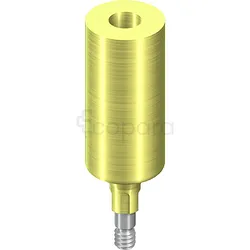 NC PARTIE SECONDAIRE MÉSO HAUTEUR 13,4MM 6MM TI REFERENCE 022.2202