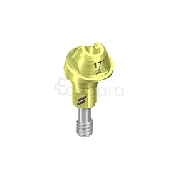 NC VISSÉE TITANE ANGULÉE 17° D 4.6MM HG 2.5MM TYPE A PARTIES SECONDAIRES VISSÉES REF 022.2749S