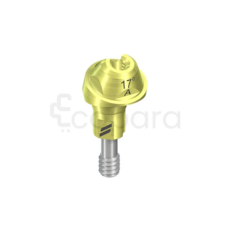 NC VISSÉE TITANE ANGULÉE 17° D 4.6MM HG 2.5MM TYPE A PARTIES SECONDAIRES VISSÉES REF 022.2749S