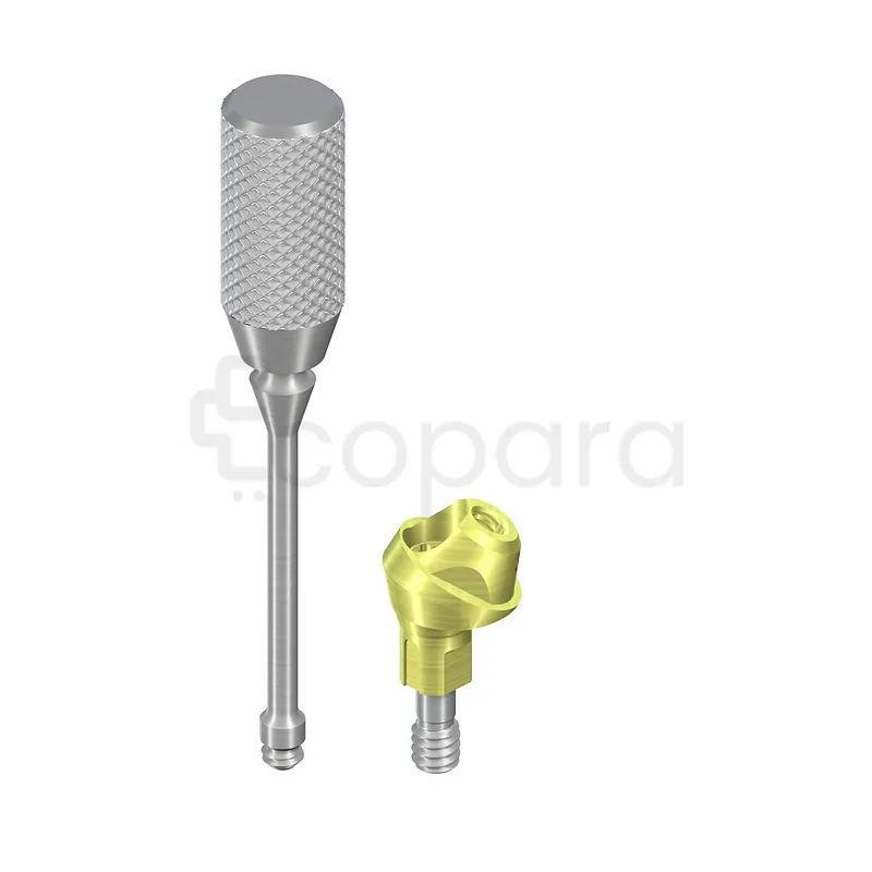 NC VISSÉE TITANE ANGULÉE 30° D 4.6MM HG 2.5MM PARTIES SECONDAIRES VISSÉES REF 022.2751P