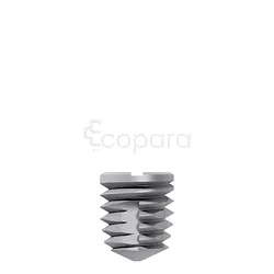 WS TITAMAX IMPLANT TITANIUM 5.0*6MM REFERENCE 109575