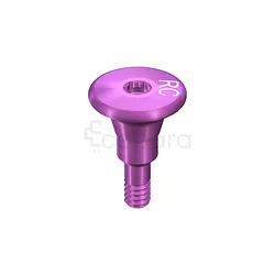 RC PARTIE SECONDAIRE DE CICATRISATION FORME CONIQUE HAUTEUR 2MM 6MM REFERENCE 024.4242