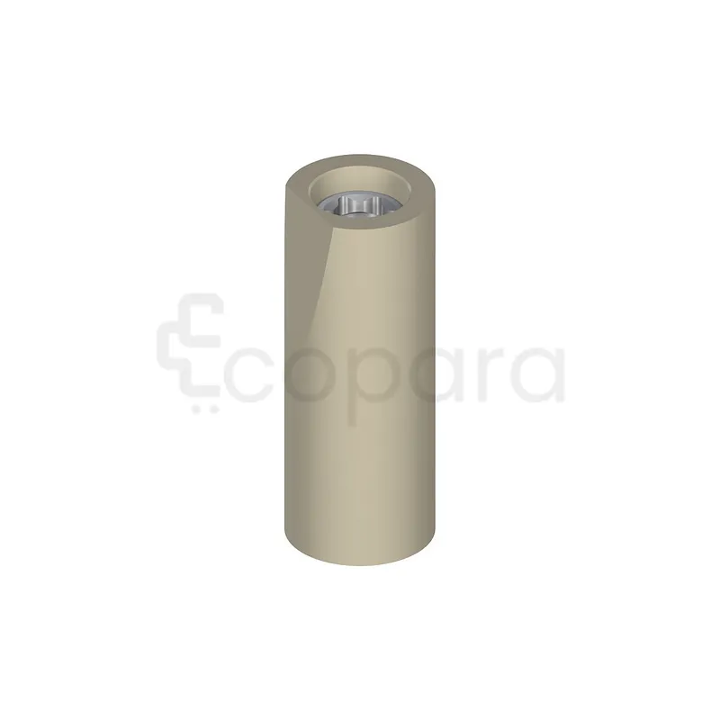 CARES CORPS DE SCAN MONO POUR PARTIE SECONDAIRE VISSÉE AU NIVEAU DE LA PARTIE SECONDAIRE 3.5MM PEEK TAN REFERENCE 025.0000