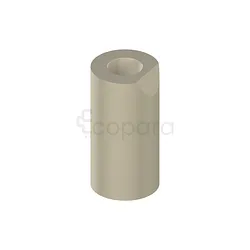 CARES CORPS DE SCAN MONO POUR PARTIE SECONDAIRE VISSÉE AU NIVEAU DE LA PARTIE SECONDAIRE 4.6MM PEEK TAN REFERENCE 025.0001