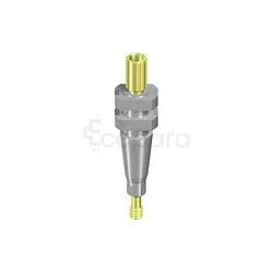 NC PILIER D'EMPREINTE POUR PORTE EMPREINTE PERFORÉ COURT AVEC VIS DE GUIDAGE LONGUEUR 16.5MM TAN REFERENCE 025.2202