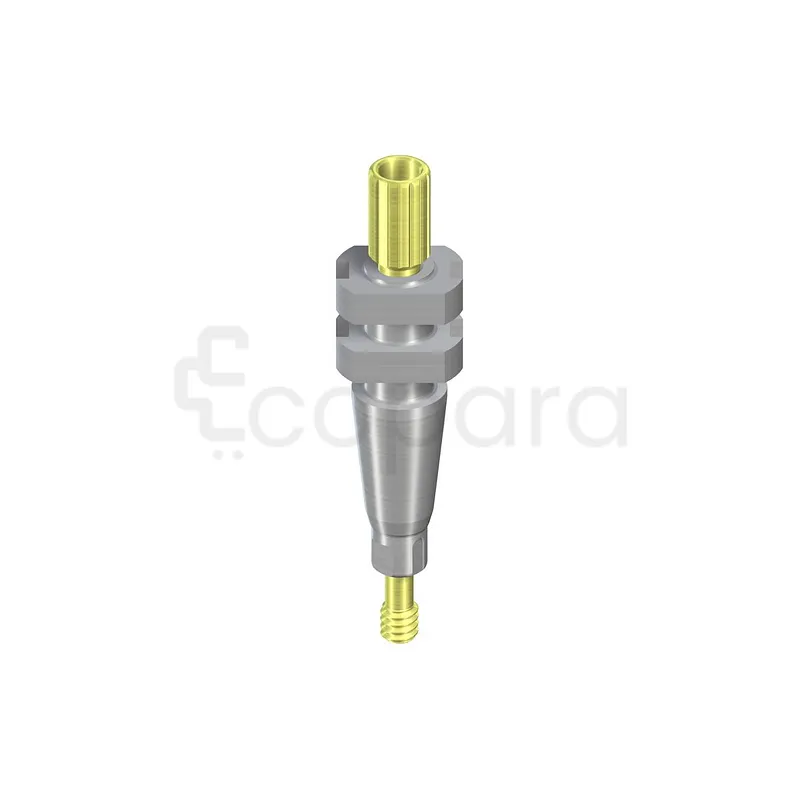NC PILIER D'EMPREINTE POUR PORTE EMPREINTE PERFORÉ COURT AVEC VIS DE GUIDAGE LONGUEUR 16.5MM TAN REFERENCE 025.2202