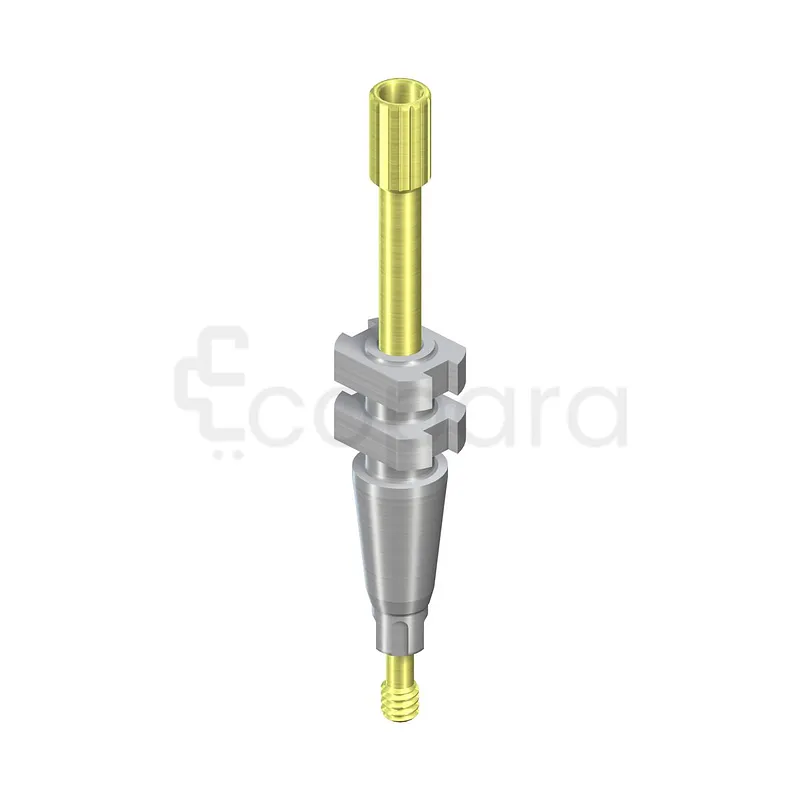PILIER D’EMPREINTE NC PORTE EMPREINTE PERFORÉ LONG AVEC VIS DE GUIDAGE L 30MM TITANE COMPOSANTS DE PRISE D'EMPREINTE TRANSFERT D'EMPREINT RÉF 025.2205
