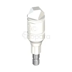 STRAUMANN NC CORPS DE SCANNAGE COMPRENANT VIS DE FIXATION LONGUEUR 11.7MM PO REFERENCE 025.2905