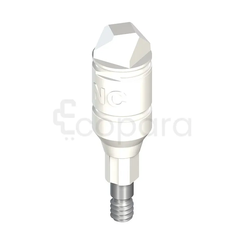 STRAUMANN NC CORPS DE SCANNAGE COMPRENANT VIS DE FIXATION LONGUEUR 11.7MM PO REFERENCE 025.2905