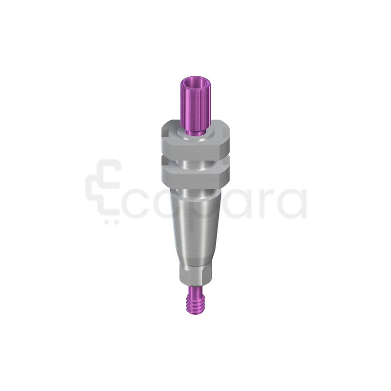 PILIER D‘EMPREINTE RC PORTE EMPREINTE PERFORÉ COURT AVEC VIS DE GUIDAGE L 16.5MM TITANE COMPOSANTS DE PRISE D'EMPREINTE RÉF 025.4202