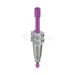 PILIER D’EMPREINTE RC PORTE EMPREINTE PERFORÉ LONG AVEC VIS DE GUIDAGE L 30MM TITANE COMPOSANTS DE PRISE D'EMPREINTE RÉF 025.4205