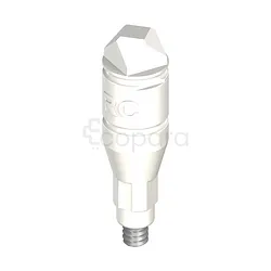 STRAUMANN RC CORPS DE SCANNAGE COMPRENANT VIS DE FIXATION LONGUEUR 13.4MM PO REFERENCE 025.4905