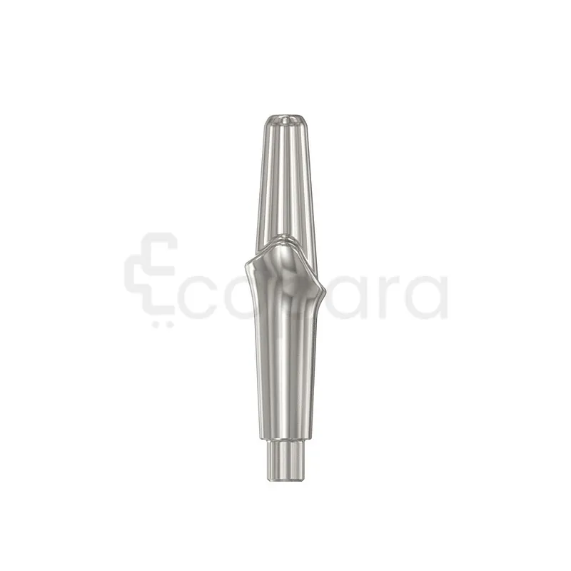 FACILITY ANATOMIC ABUTMENT TITANIUM 1.5MM REFERENCE 114442