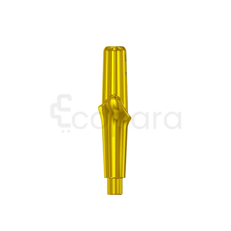 PARTIE SECONDAIRE ANATOMIQUE FACILITY POUR ESSAI EN BOUCHE TITANE 1.5MM REFERENCE 114450