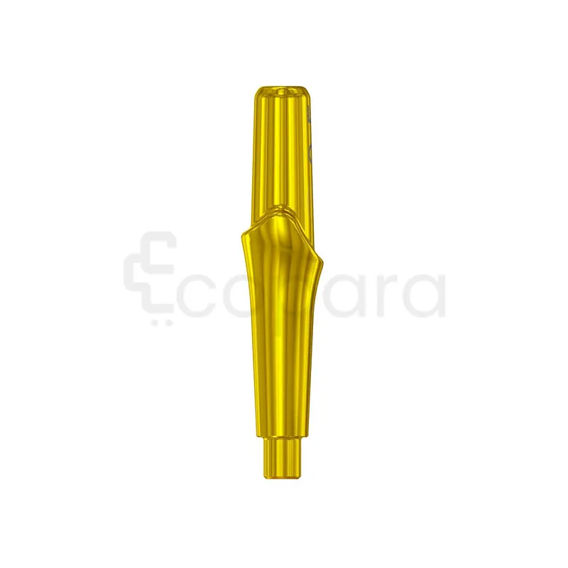 PARTIE SECONDAIRE ANATOMIQUE FACILITY POUR ESSAI EN BOUCHE TITANE 2.5MM REFERENCE 114451
